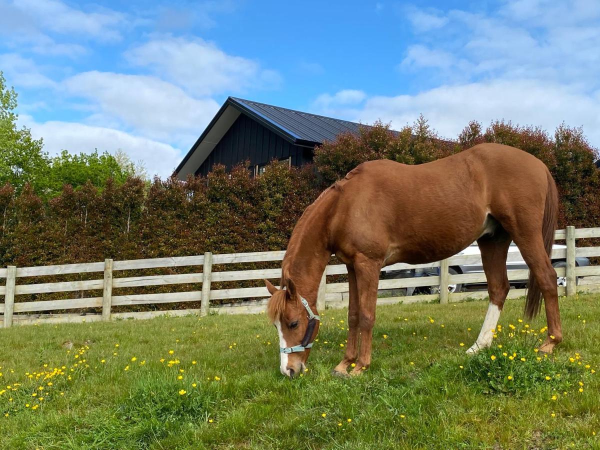 Coatesville Country Retreat Holiday home Auckland